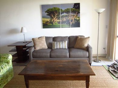 Wailea Condo 896112